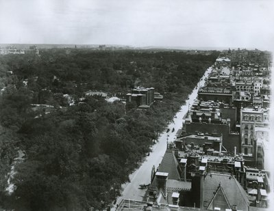 Cinquième Avenue, vue vers le nord depuis le toit du Metropolitan Club dans la 61e rue, New York, c.1904 - G.P. Hall und Sohn