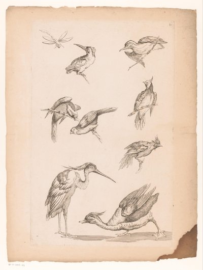 Huit oiseaux chinois, dont des martins-pêcheurs, un héron, un canard et une libellule - Gabriel Huquier (attributed to)