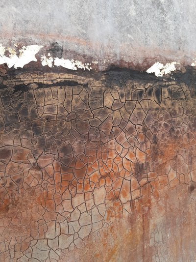  - Gabriela Aleksandra Szuba