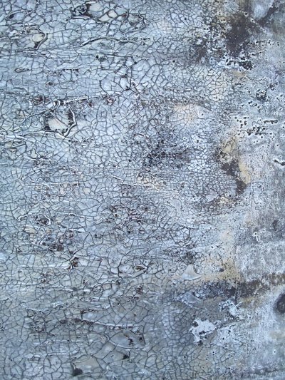  - Gabriela Aleksandra Szuba