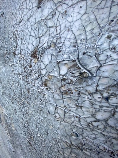  - Gabriela Aleksandra Szuba