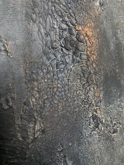  - Gabriela Aleksandra Szuba