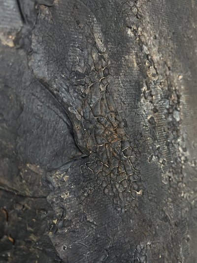  - Gabriela Aleksandra Szuba