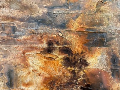  - Gabriela Aleksandra Szuba