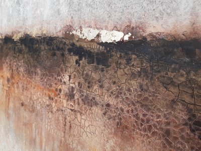  - Gabriela Aleksandra Szuba