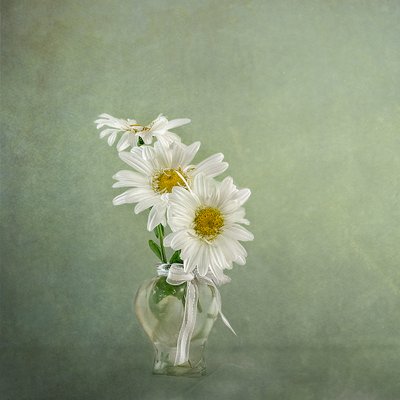  - Gaille Gray