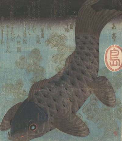 Carpes et pins - Gakutei