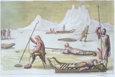 En attente sur la glace (détail) - Gallo Gallina