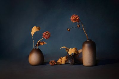  - GaoSL
