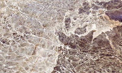 Motifs aquatiques dorés - Gemma Bardot