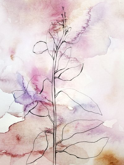 Aquarelle botanique rose - Gemma Bardot