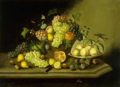 Nature morte avec un panier de raisins et des fruits mélangés sur un rebord de pierre - Georg Seitz