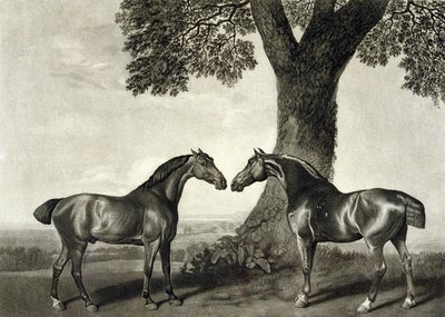 Deux chasseurs, gravé par G.T. Stubbs - George (after) Stubbs