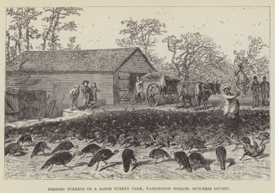 Nourrir des dindes dans une grande ferme de dindes, Washington Hollow, comté de Dutchess - George Augustus Sala