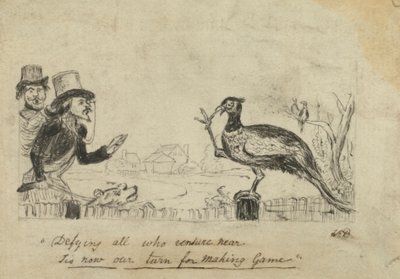 Faisan défiant les chasseurs - George Augustus Sala