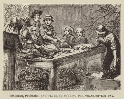 Échaudage, plumage et engraissement des dindes pour Thanksgiving - George Augustus Sala