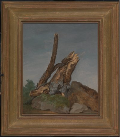 Étude des roches et des branches - George Augustus Wallis
