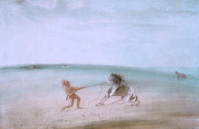 Démanteler le cheval sauvage - George Catlin