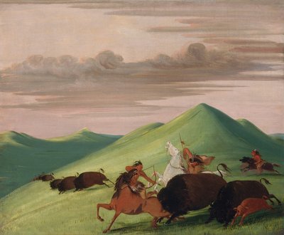 Buffalo Chase, taureau protégeant une vache et un veau - George Catlin