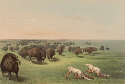  - George Catlin