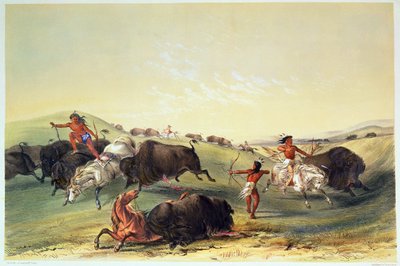 Chasse au bison, planche 7 de la collection des Indiens d