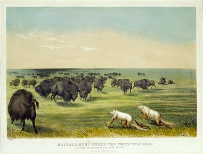  - George Catlin
