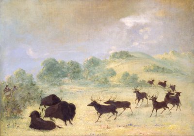 Elan et buffle font connaissance, Texas - George Catlin