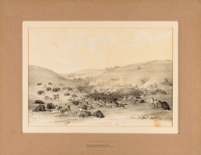 Indiens entourant Buffalo--no. 9 - George Catlin