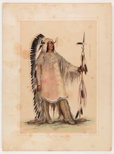 Mah-to-toh-pa, le chef des Mandans - George Catlin