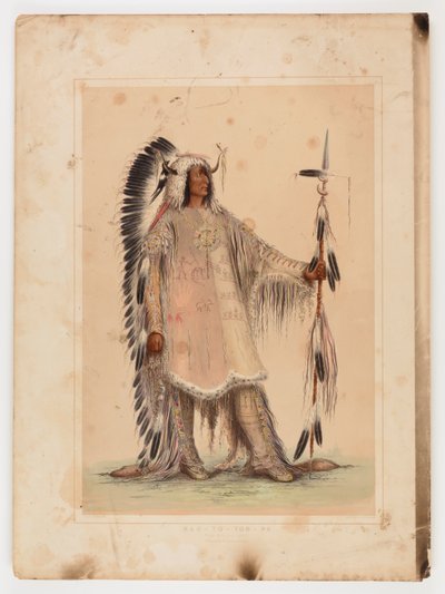 Mah-to-toh-pa, le chef des Mandans - George Catlin
