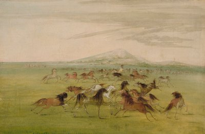 Les chevaux sauvages au jeu - George Catlin