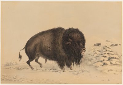  - George Catlin