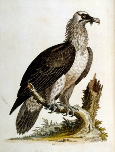 Illustration à l