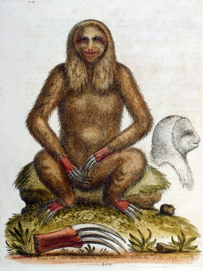 Illustration à l