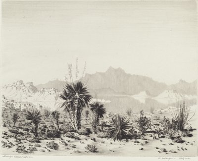Un mirage, Arizona - George Elbert Burr