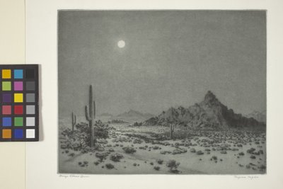 Nuit en Arizona - George Elbert Burr