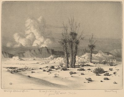 Soir, Arizona - George Elbert Burr