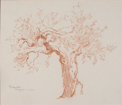 Fiesole - George Elbert Burr