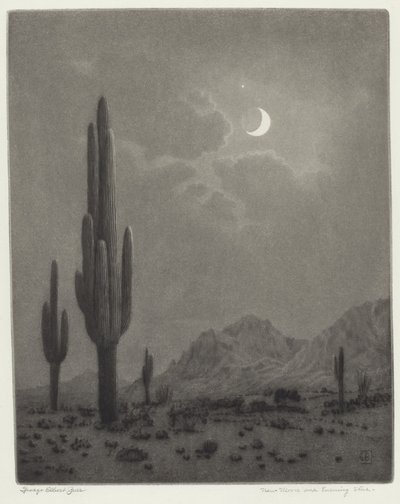 Nouvelle lune et étoile du soir - George Elbert Burr