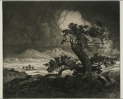 Vieux cèdres et Spanish Peaks - George Elbert Burr