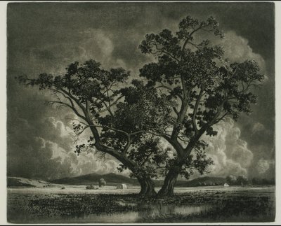 Old Cottonwoods, Colorado - George Elbert Burr