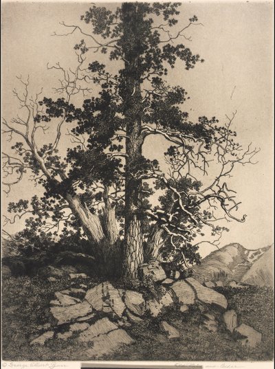  - George Elbert Burr
