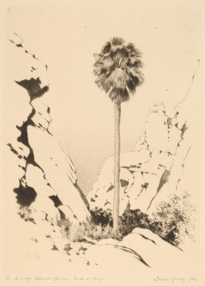 Canyon des Palmiers (no.1) - George Elbert Burr