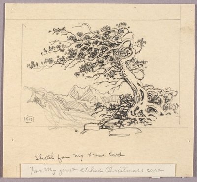 Esquisse pour une carte de Noël (Windswept Pine [no. 1]) - George Elbert Burr