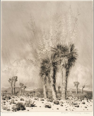  - George Elbert Burr