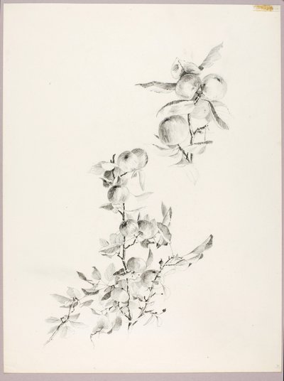 Sans titre (Branches de pommier) - George Elbert Burr