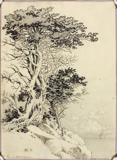 Sans titre (dessin pour impression) - George Elbert Burr