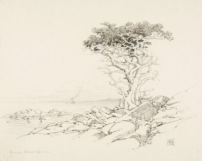 Sans titre - George Elbert Burr