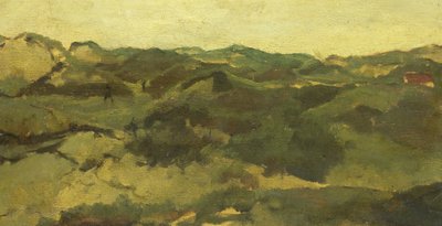 Paysage de lande, probablement à Drenthe - George Hendrik Breitner