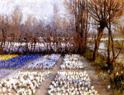 Un champ de crocus au printemps, vers 1889 - George Hitchcock